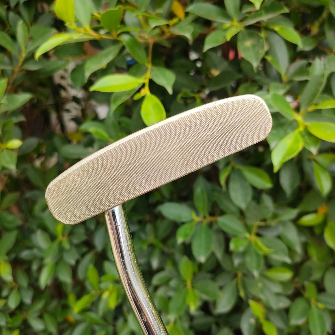 PUTTER REXTAR DYNA SPEC TYPE- III ความยาว 34 นิ้ว ก้าน REXTAR หน้า Milled กัดไลน์ น้ำหนักดีมากๆ