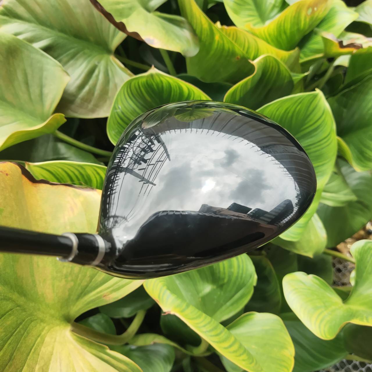 ** มีบุบ ** Driver YAMAHA RMX216 หน้าเด้ง รีดสปีดสูง ลูกพุ่ง ลดสปิน CG ต่ำ ช่วย Launch มุมสูง