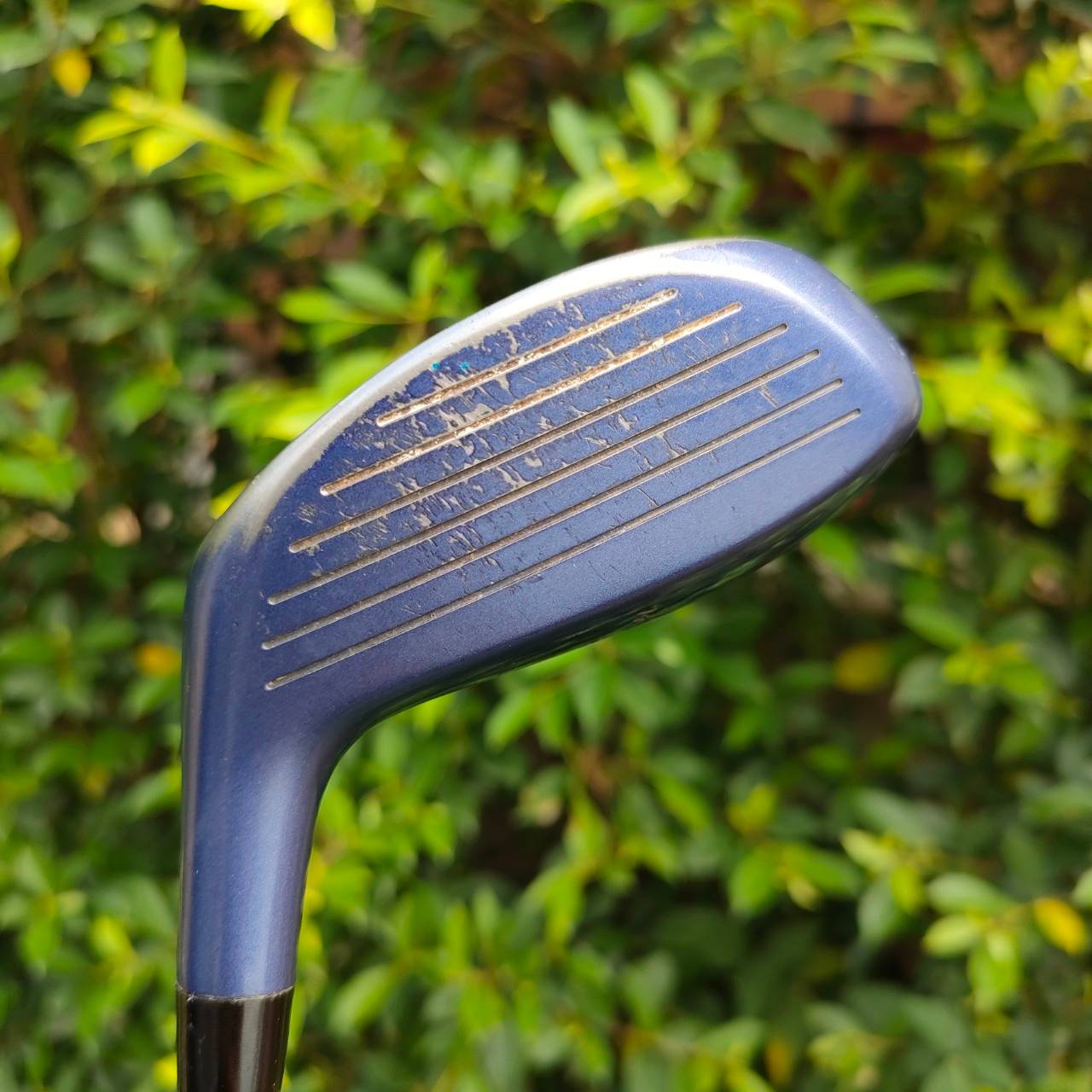 ** ไม้กอล์ฟสำหรับผู้หญิง ** FW4 HONMA BIG-LB TITANIUM ก้าน TITANIUM CARBON FLEX L ก้านระดับ 2 ดาว **