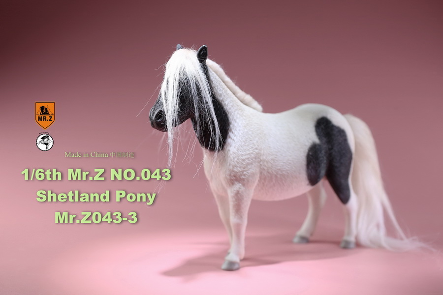 [สั่งจอง]น้องม้าน้อยโพนี่ 1/6 MR. Z Animal Model MRZ043 1/6th Shetland Pony(all 5 colors)