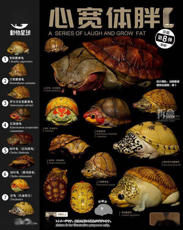 [สั่งจอง]Animal Planet : Heart Wide Body Fat Eighth Reptile Figure Static Animal Model