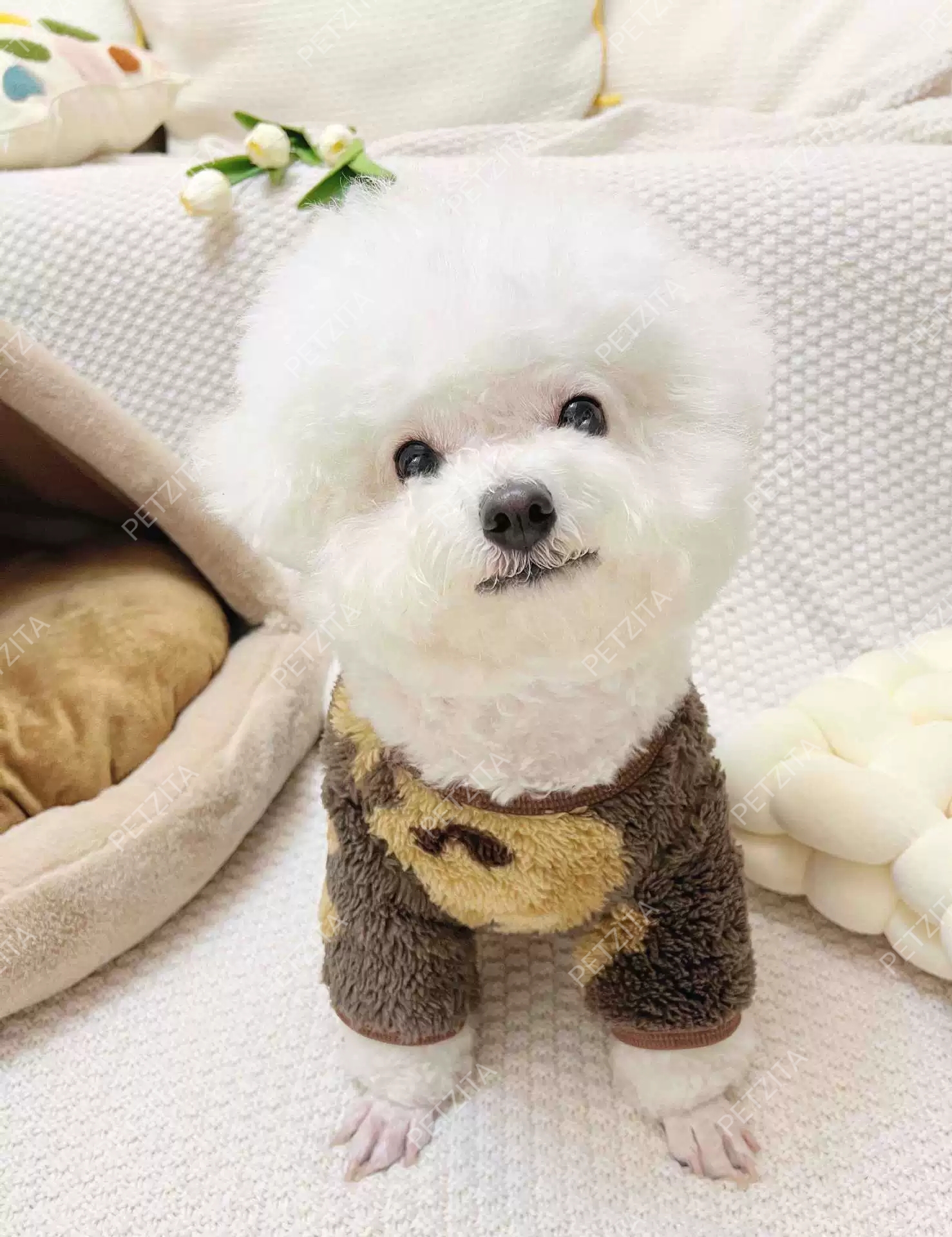 🇹🇭พร้อมส่ง🇹🇭 🐶🐕 เสื้อผ้าสำลีขนปุยนุ่มนิ่ม สำหรับ สุนัขพันธุ์กลาง ถึง หมาใหญ่