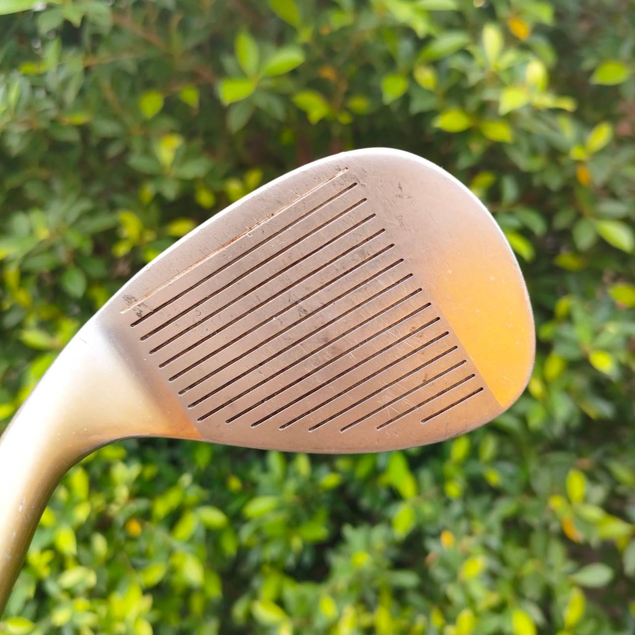 WEDGE HIPPO PERFORMANCE SERIES องศา 60 ก้าน TRUE TEMPER FLEX WEDGE วัสดุ OIL-CAN สุดยอดพรีเมี่ยม หน้าใบแบบสับ!! ไม้กอล์ฟมือสอง ของแท้ BY NakaraLuxurious