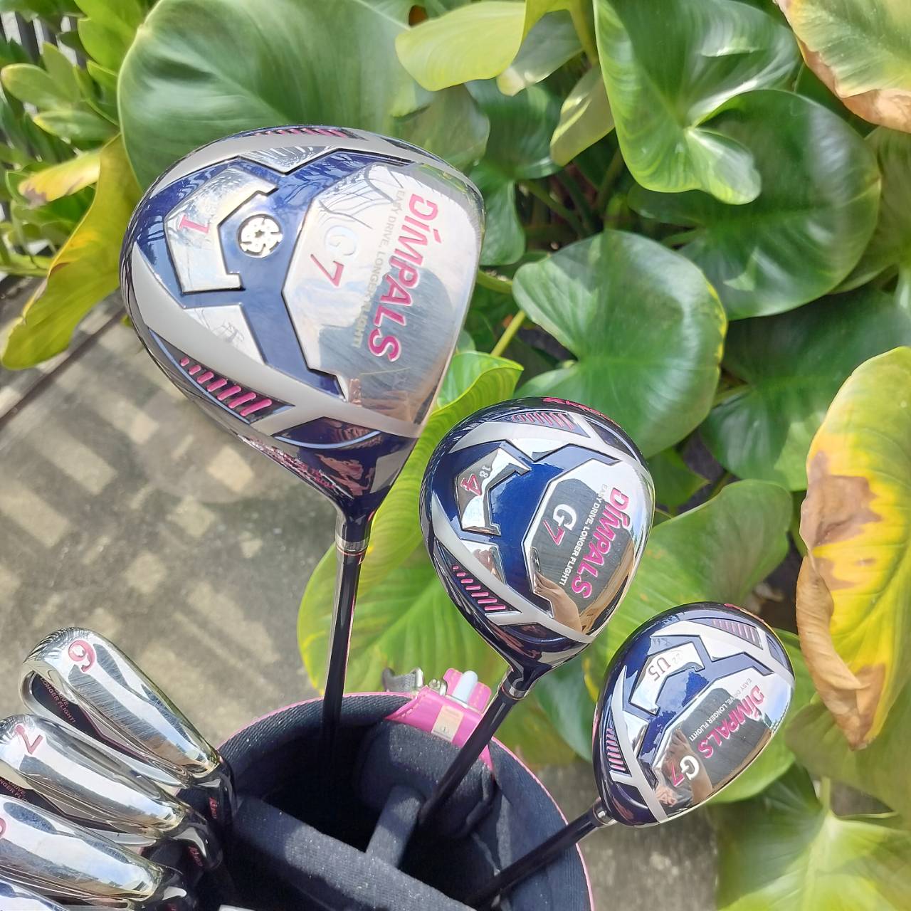 SET KASCO DIMPALS G7 LADY สภาพสวยนางฟ้า ชุดกอล์ฟพรีเมี่ยมญี่ปุ่น ก้านเบา ถุงกอล์ฟสวยมาก ไม้กอล์ฟพรีเมี่ยมมือสอง By NakaraLuxurious