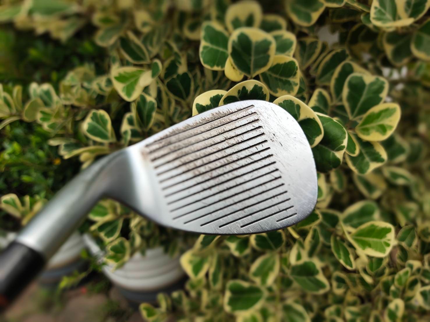 SW HONMA TWIN MARK ตัวพรีเมี่ยมสุดๆๆๆของ HONMA