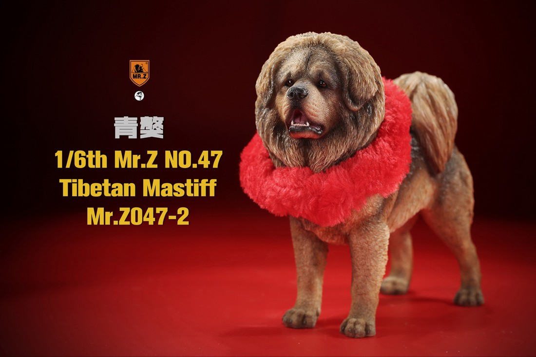 [สั่งจอง] MR. Z Animal Model MRZ047 1/6th Tibetan Mastiff