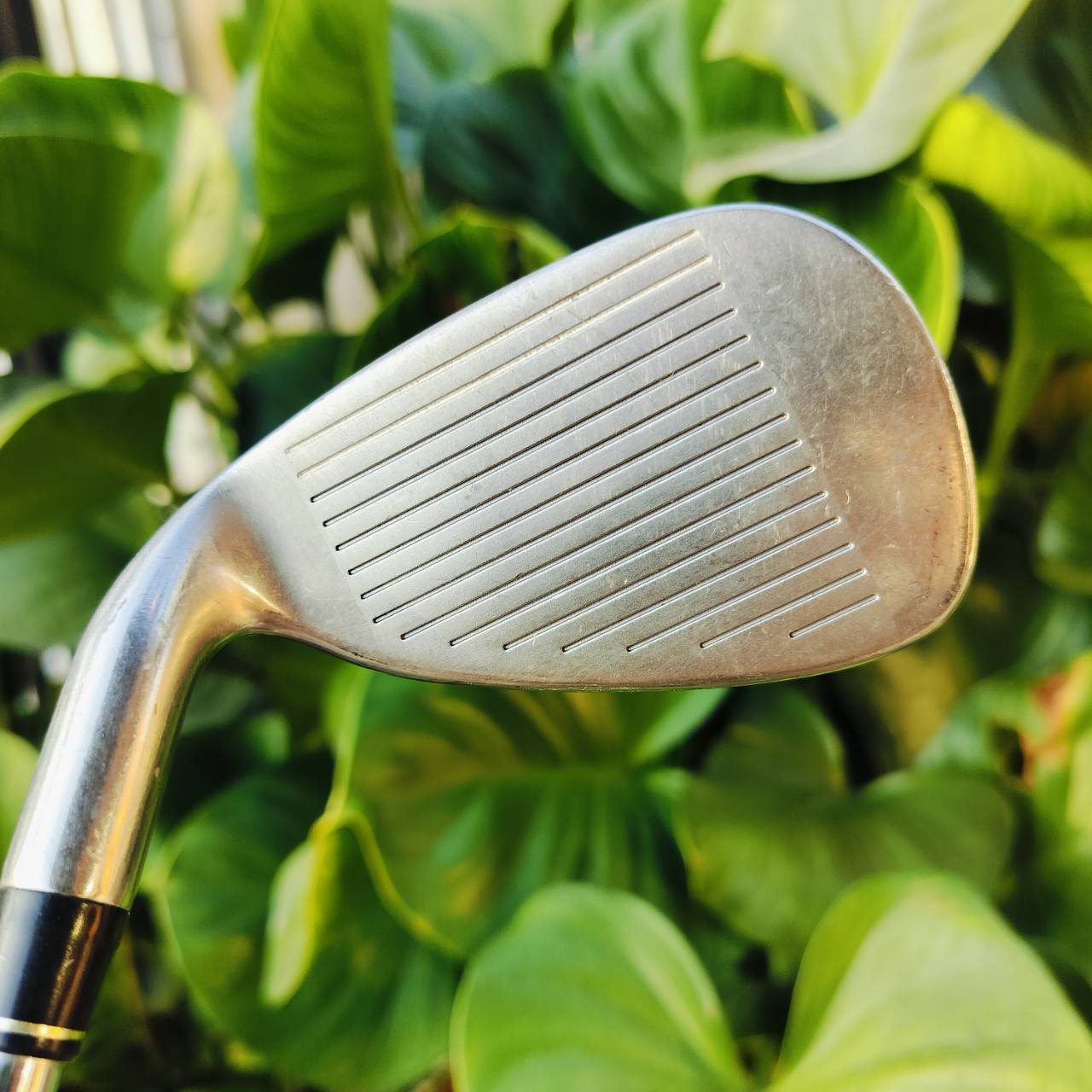 ลดล้างของ!!!ถูกสุดขีด!!! . ชุดเหล็ก Taylormade RAC HT มีเหล็ก 3 4 5 6 7 8 9 PW ก้าน Taylormade FLEX S ใบใหญ่ตีง่ายมากตีไกลกว่าปกติ 1 เหล็กเลยค่ะ ไม้กอล์ฟพรีเมี่ยมมือสอง ของแท้ By NakaraLuxurious