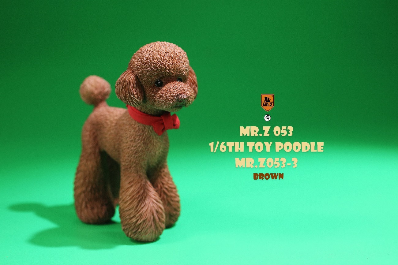 [สั่งจอง]Mr.Z MRZ053 animal model 1/6 : Toy Poodle