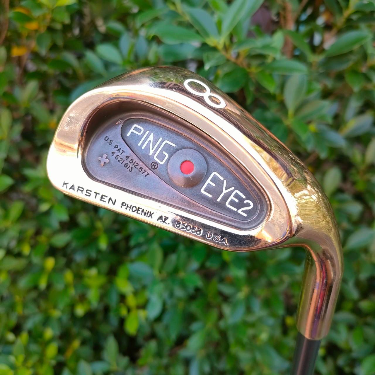 ชุดเหล็ก PING EYE 2 PLUS จุดแดง สุดยอดแห่งวัสดุ Beryllium Copper เป็นรุ่น PLUS อีกด้วย ดูที่ใบเหล็กจะมี เครื่องหมาย + เป็นรุ่นที่ดีที่สุด ในปัจจุบัน