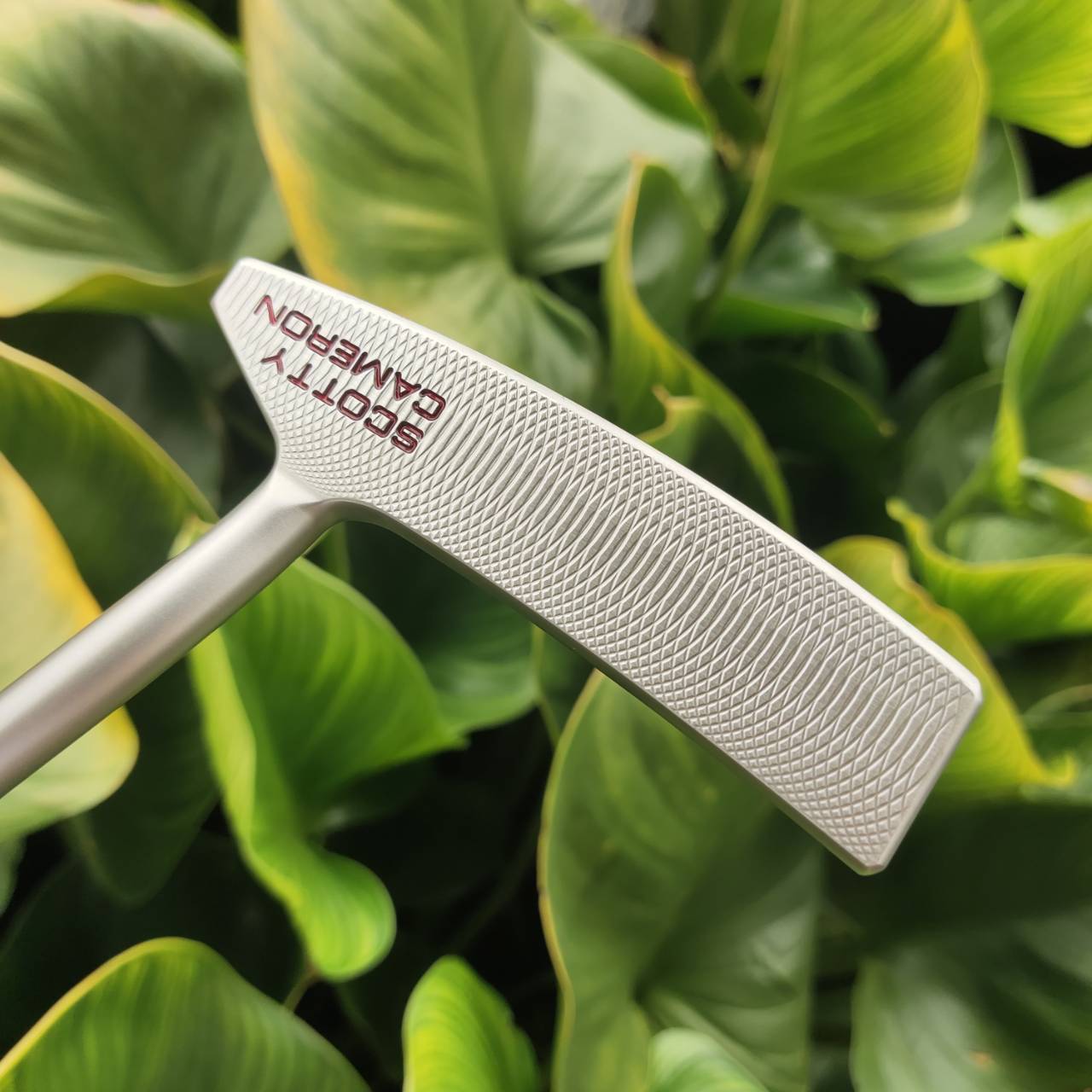 PUTTER SCOTTY CAMERON California Sonoma (เหมือนของใหม่ กริพยังไม่แกะพลาสติก)