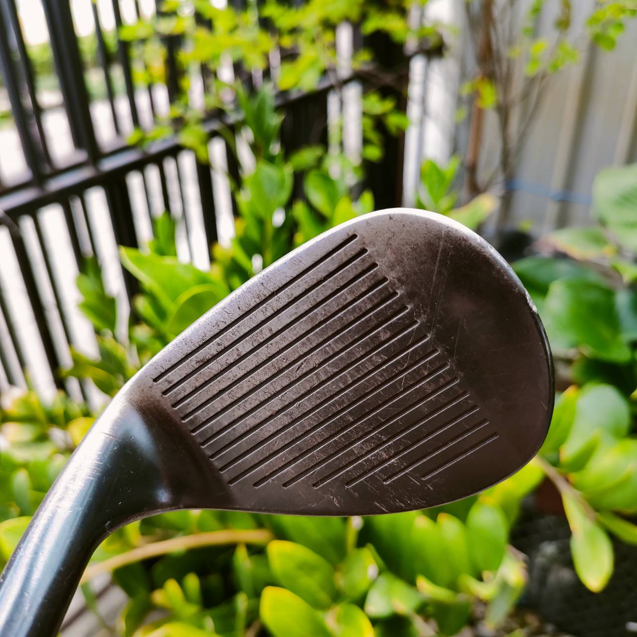 WEDGE S MIRACLE FORGED องศา 56 ก้าน SHIMADA 90 WEDGE FLEX ก้านพรีเมี่ยมญี่ปุ่น ร่องสวย ให้สปินได้ดี ฟีลลิ่งดีมากๆ ไม้กอล์ฟพรีเมี่ยมมือสอง ของแท้ By NakaraLuxurious