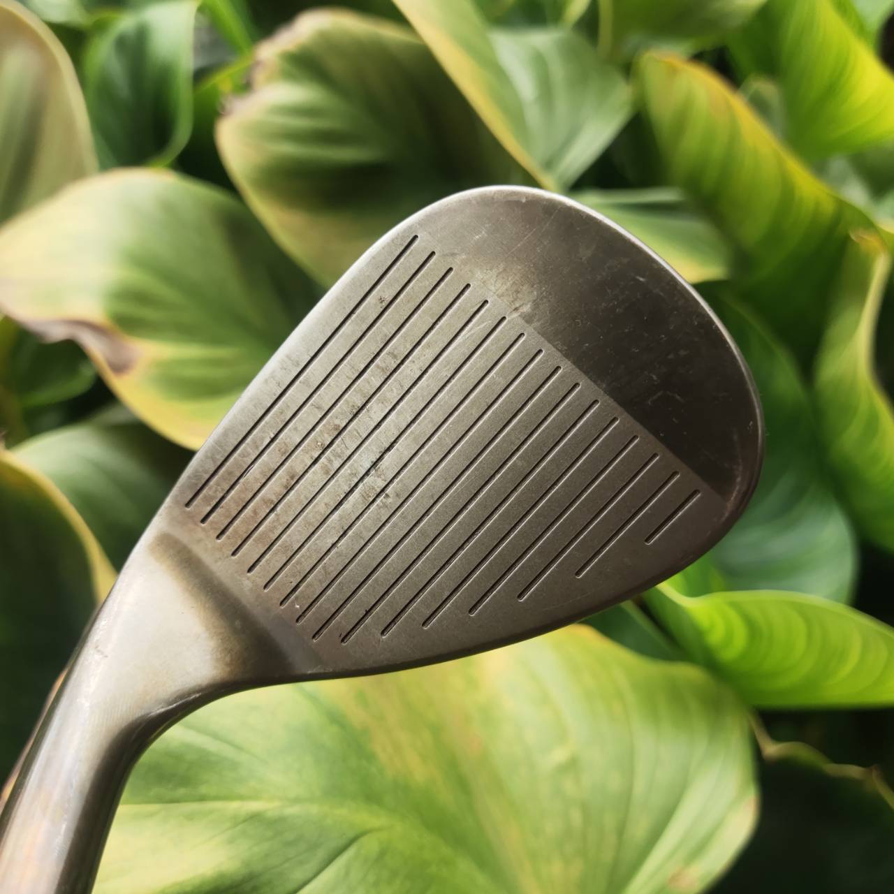 WEDGE – TITLEIST VOKEY DESIGN OIL CAN 8620 สุดคลาสสิกหายาก ฟีลนุ่ม สปินดุ!