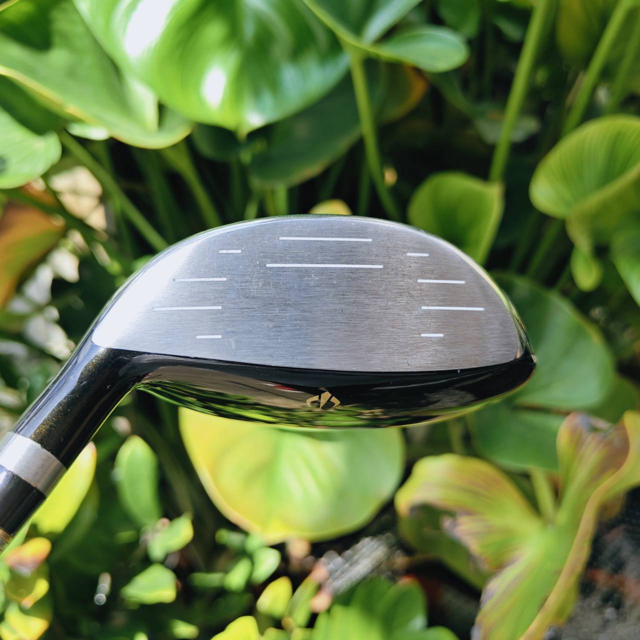 ก้าน 3 ดาว!!! #7 HONMA BERES S-06 ดีไซน์หรู น้ำหนักเบา ฟีลลิ่งนุ่ม ตีไกล + เสียงหวานมาก