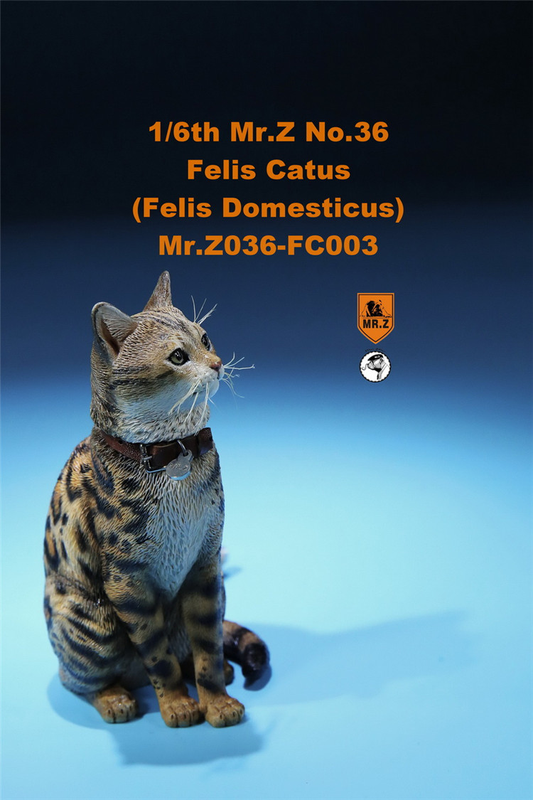 [สั่งจอง] Mr. Z Animal Model No.36: 1/6 Figure Felis Catus