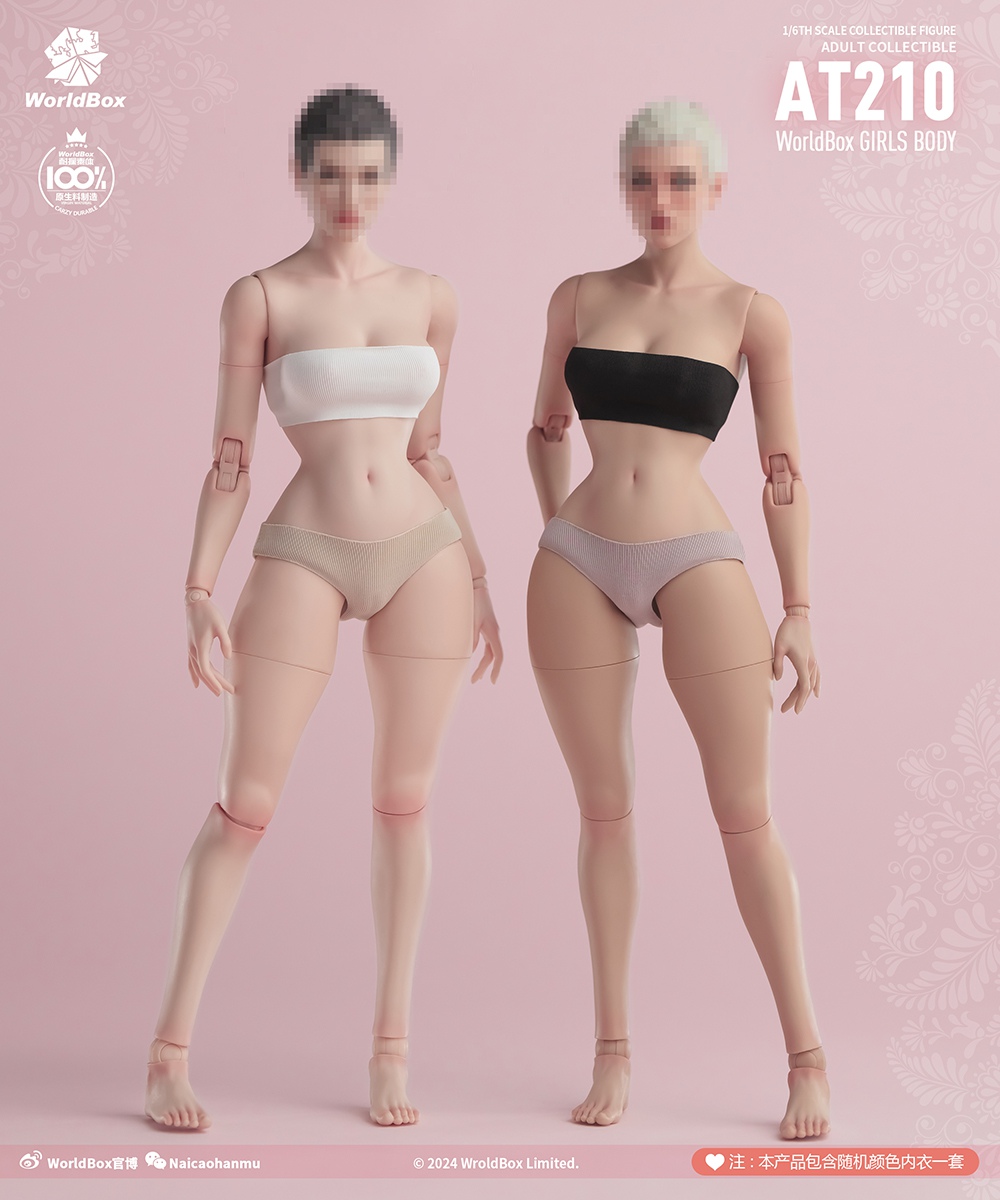[สั่งจอง]Worldbox 1/6 : --- AT210 female body wasp waist version