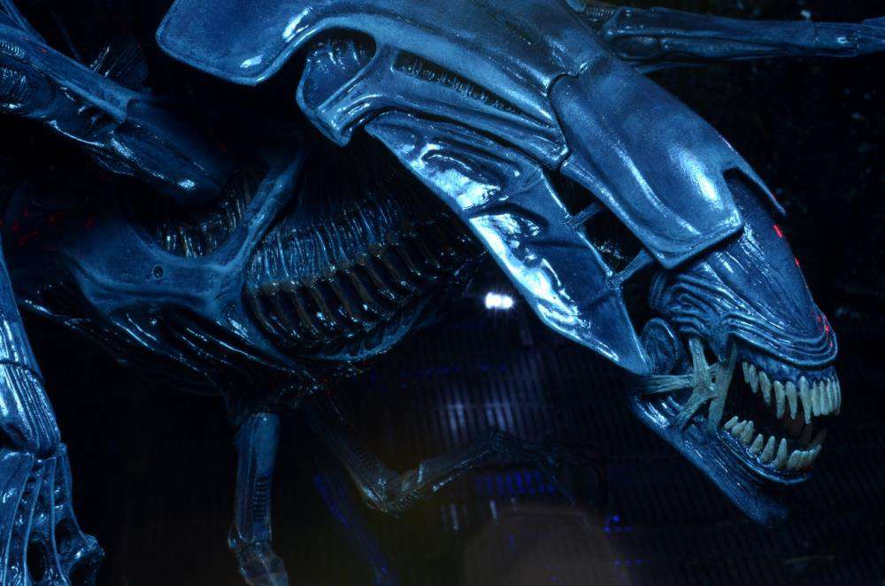 [สั่งจอง] Neca : Alien [Reissue]