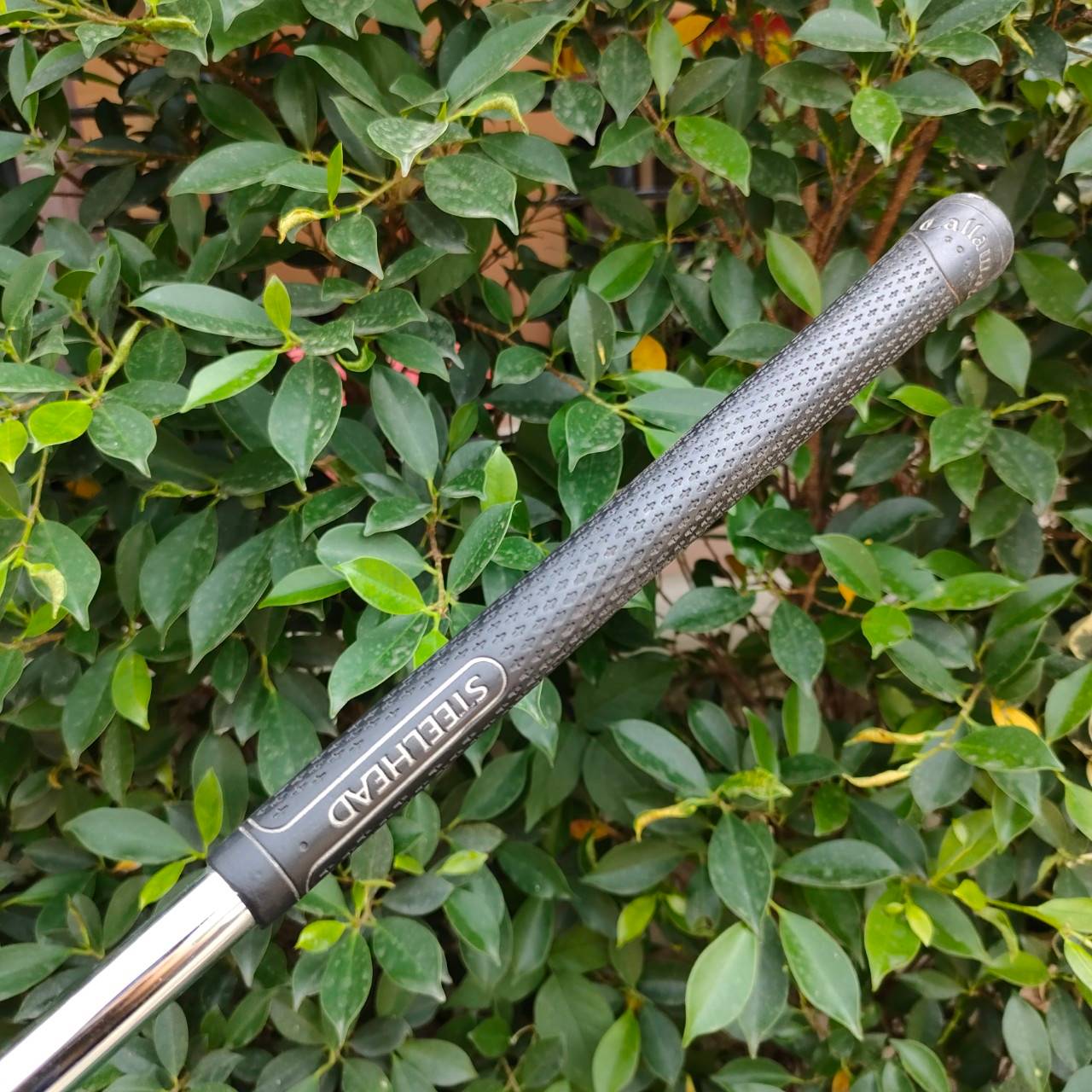 เหล็ก 5 CALLAWAY STEELHEAD X16 รุ่นดังตีง่ายมาก เพราะใบใหญ่ CAVITY ลึก ท่านที่ตามหาเหล็ก 5 อยู่ไม่ควรพลาด!!!