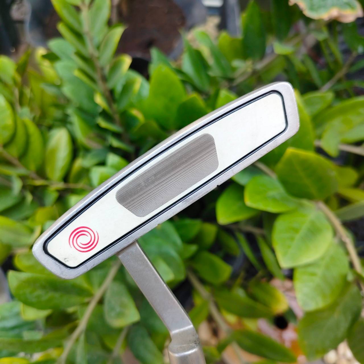 PUTTER ODYSSEY 2-BALL WHITE STEEL BLADE-2 ความยาว 34 นิ้ว **กริฟเสื่อมสภาพ** รุ่นนี้น่าเล่น หน้าไม้เป็น STEEL ช่วยในเรื่องการเกาะไลน์ขึ้นมาก ไม้กอล์ฟพรีเมี่ยมมือสอง By NakaraLuxurious