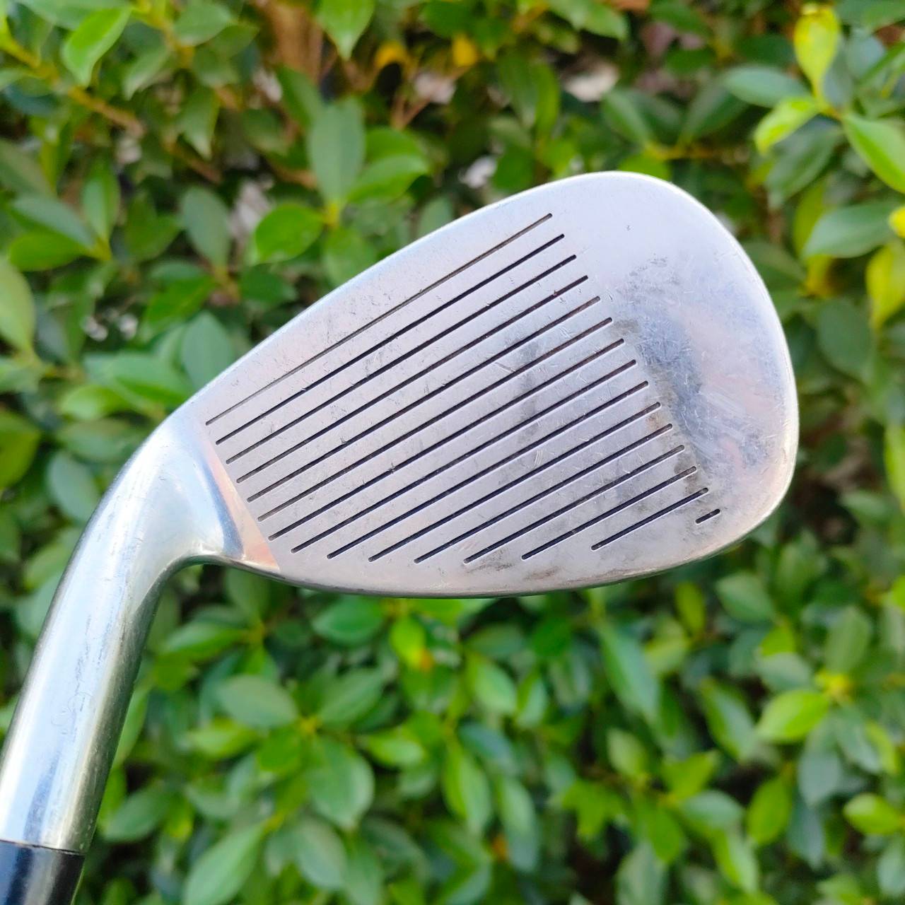 เหล็ก 8 HIPPO HYBRID เหล็กตีง่ายมากๆ ใบใหญ่ นุ่ม ตีตรง แม่นกรีนครับ