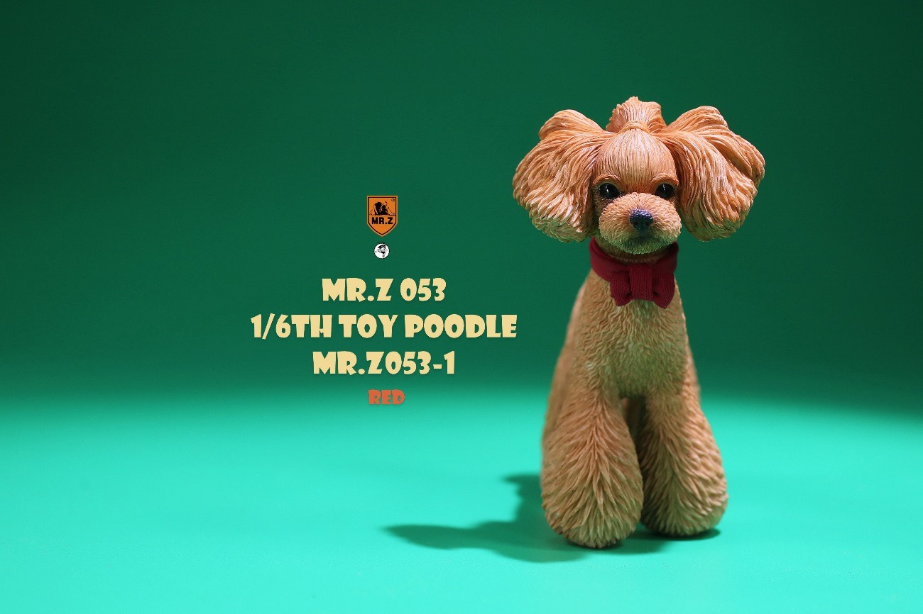 [สั่งจอง]Mr.Z MRZ053 animal model 1/6 : Toy Poodle