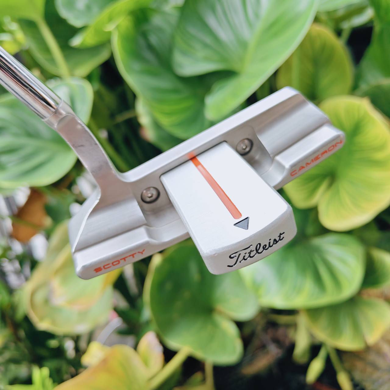 SCOTTY CAMERON Newport 2.5 Detour – พัตเตอร์ระดับตำนานจาก TITLEIST!