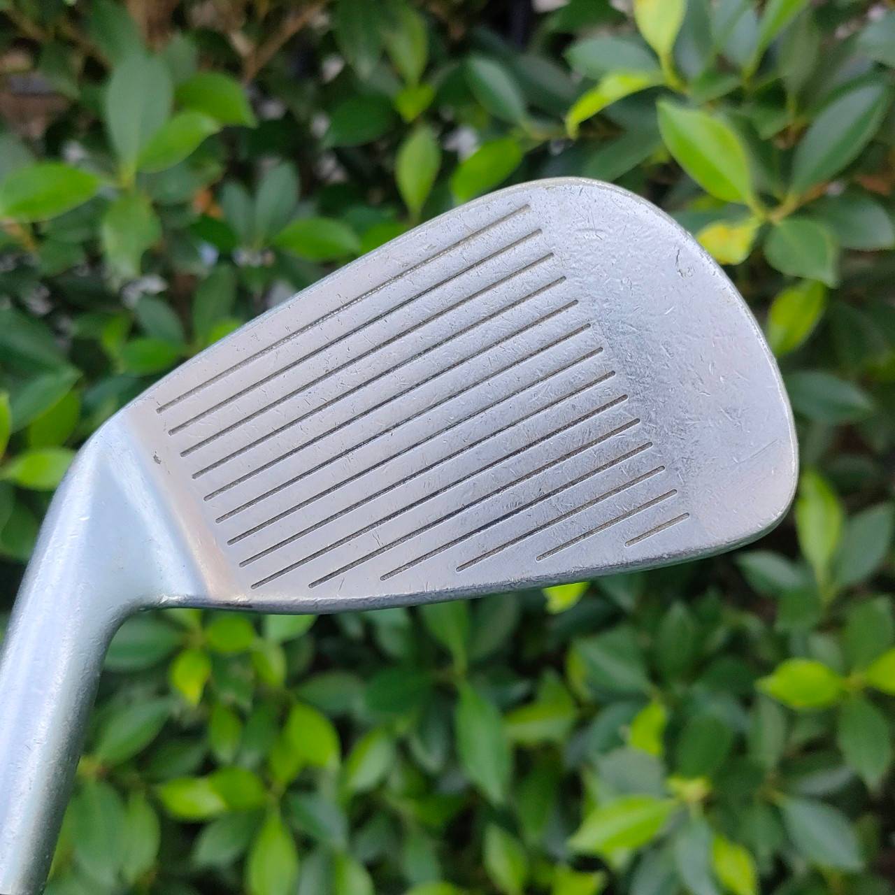 ชุดเหล็ก KOOL CAT FORGED BY WOOD BROS สุดยอดชุดเหล็ก VINTAGE FORGED CAVITY ที่หาหันเยอะมาก ชุดนี้เดิมๆ ก้านเดิม คงสภาพได้สวยมาก