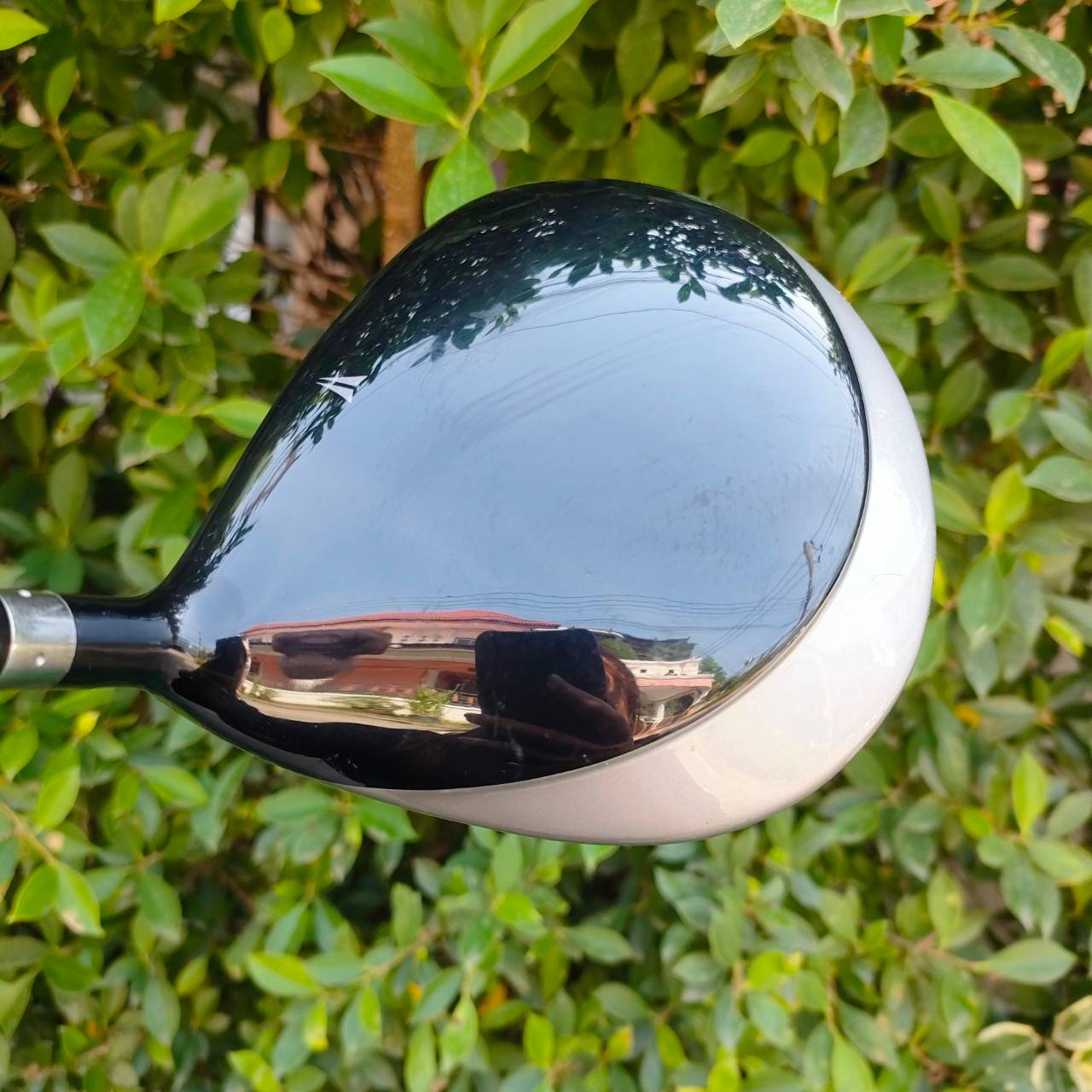 DRIVER NIKE SQ+ องศา 10.5 ก้าน DIAMANA SASQUATCH FLEX R ก้านดีมาก คุณภาพพรีเมี่ยม รุ่นนี้หน้าเด้ง NEXTi ตีไกลช่วยระยะมาก ไม้กอล์ฟมือสอง ของแท้ BY NakaraLuxurious