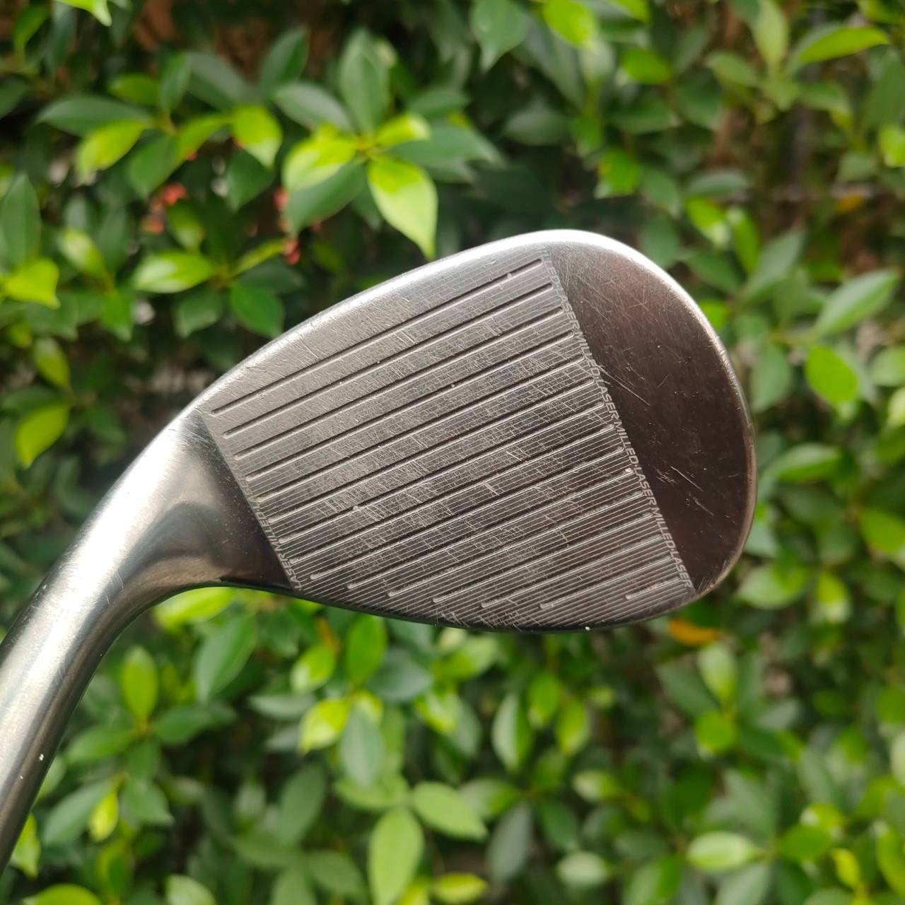 WEDGE CLEVELAND CG15 ZIP GROOVER ร่องสี่เหลี่ยม สปินสุดจัดเลยครับ องศา 56 BOUNCE 14