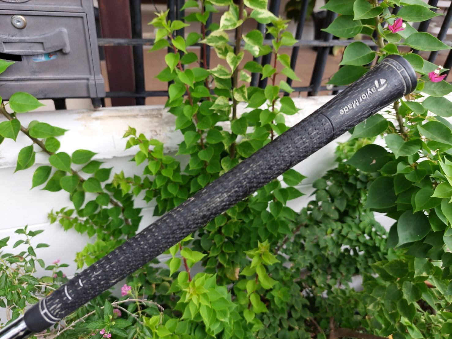 WEDGE WILSON STAFF FORGED