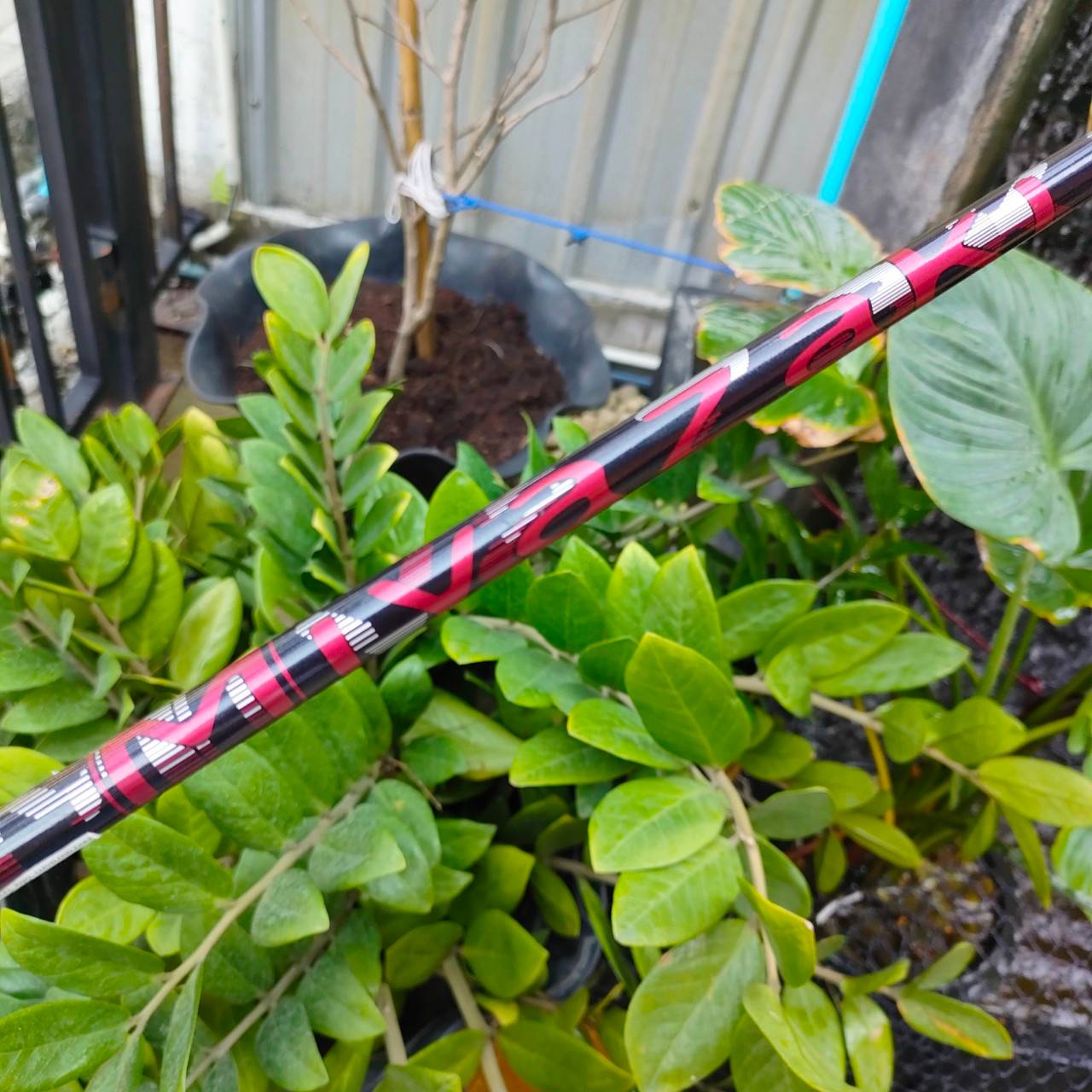 DRIVER SRIXON Z585 องศา 10.5 ก้าน MIYAZAKI 4323 FLEX R ปฏิวัติใหม่ทั้งหมดเพื่อเพิ่มความเร็ว ให้กับเกมของคุณ สุดยอดตีมันส์ มี COVER เดิมๆ สภาพสวยนางฟ้า!!! ไม้กอล์ฟพรีเมี่ยมมือสอง By NakaraLuxurious