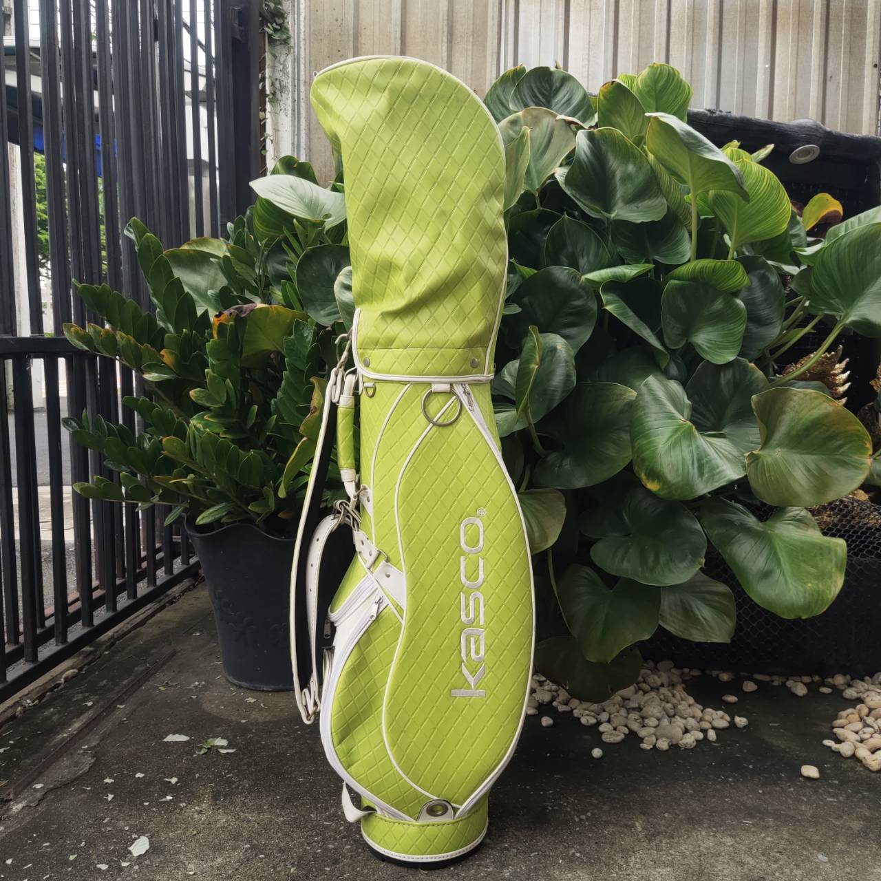 KASCO FEREINA ชุดไม้กอล์ฟระดับพรีเมียมสำหรับสุภาพสตรี เบา ตีง่าย ดีไซน์สวยงามจากประเทศญี่ปุ่น