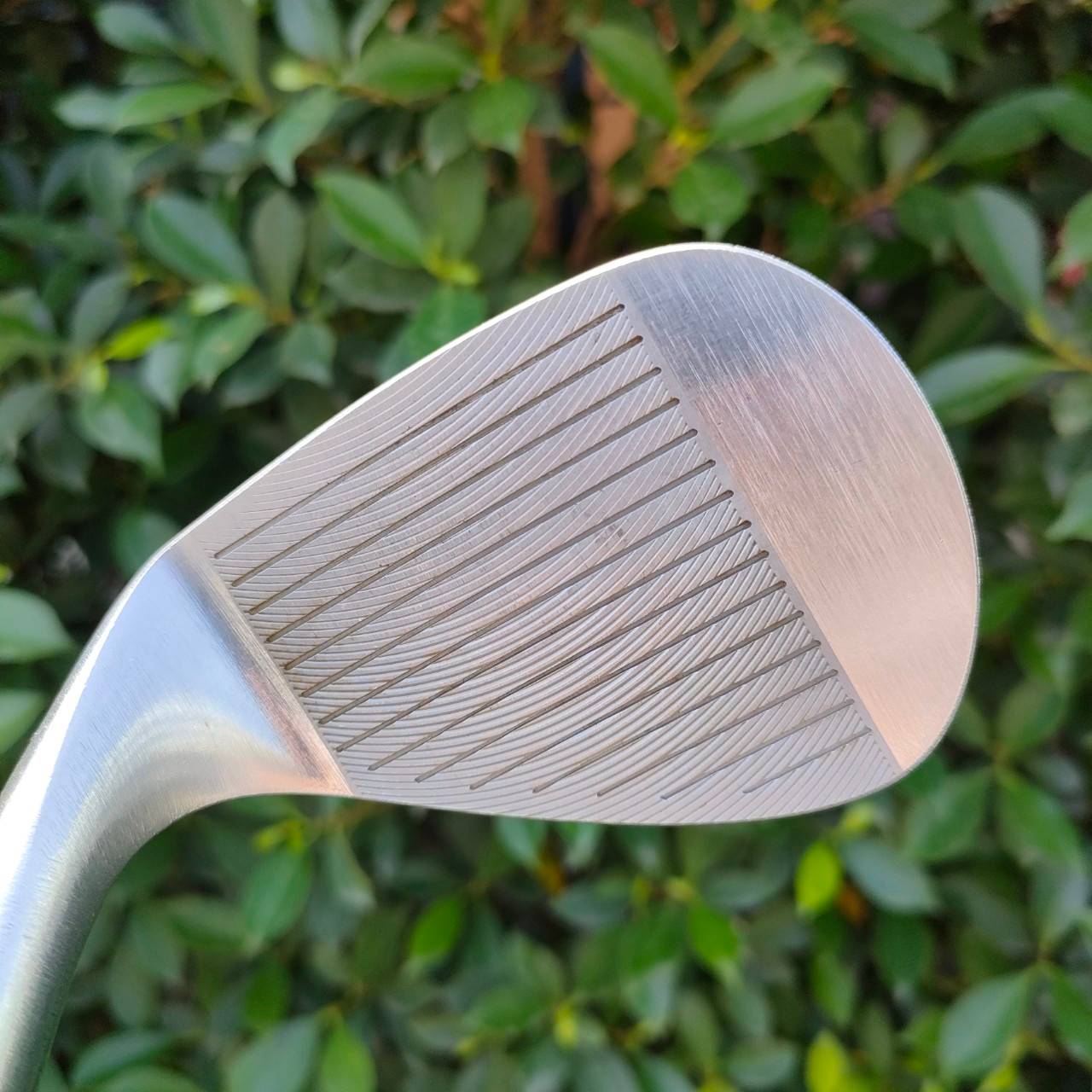 WEDGE RC SS.FORGED องศา 50 BOUNCE 8 ก้าน DYNAMIC GOLD FLEX WEDGE
