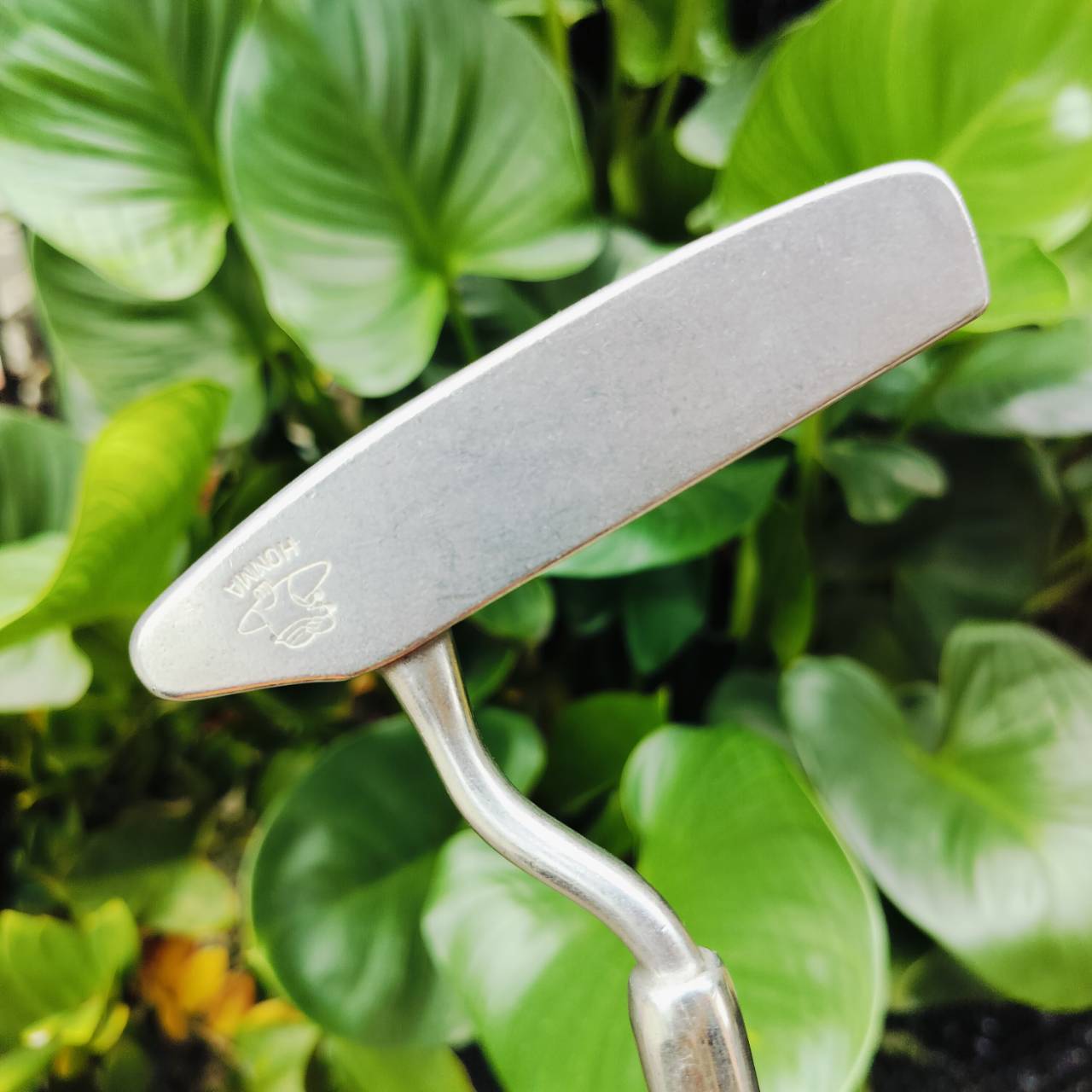 PUTTER HONMA CB8031 ความยาว 33 นิ้ว คอไม้ออกแบบพิเศษ พัตต์ง่ายมาก ฟอลโล่ทรูง่ายมากค่ะ ก้านเป็นกราไฟต์ คุณผู้หญิงก็ใช้ได้ ไม้กอล์ฟพรีเมี่ยมมือสอง ของแท้ By NakaraLuxurious