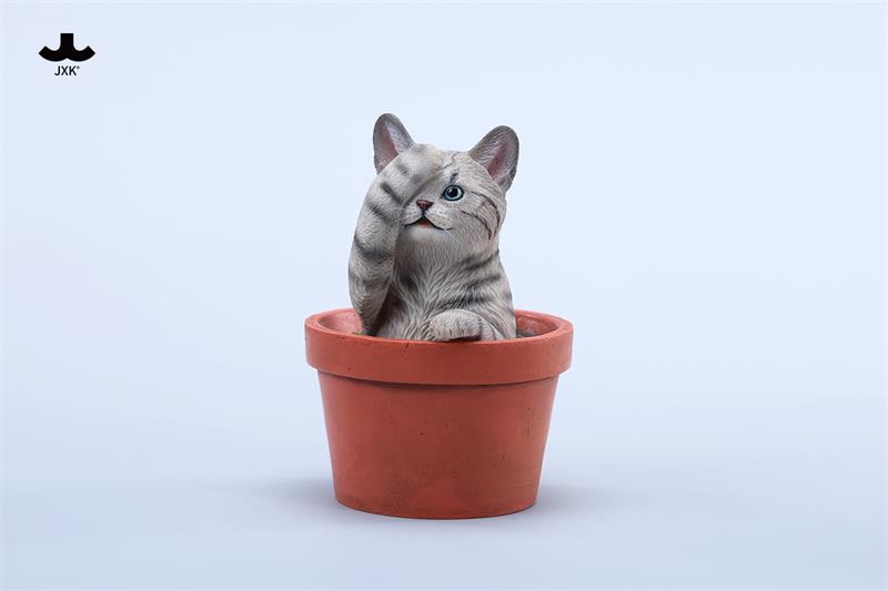 [สั่งจอง] JXK Blossom Paws