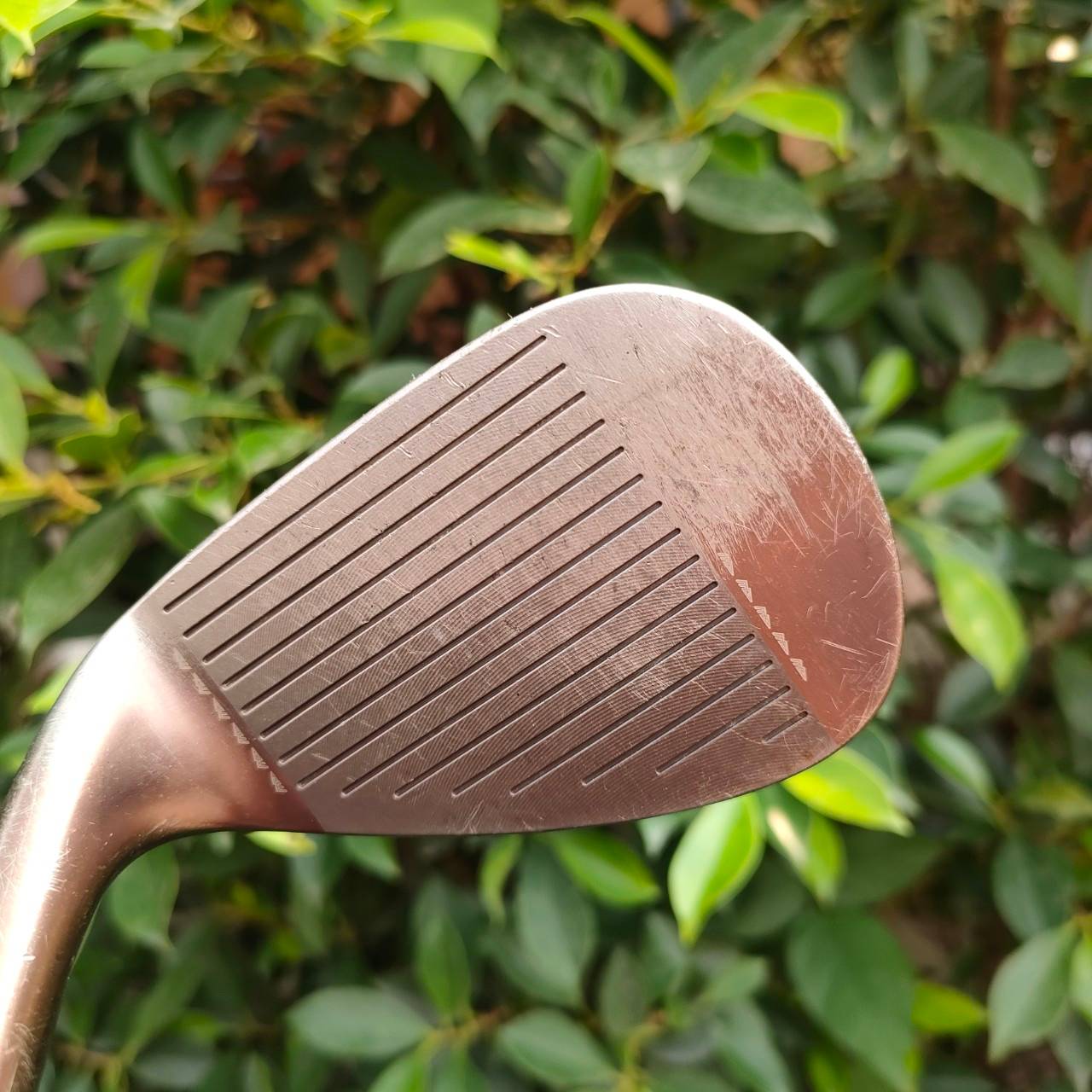 WEDGE MD GOLF SEVE องศา 52 BOUNCE 10 ก้าน UST MAMIYA FLEX R คุณภาพแบบสุดๆๆๆวัสดุพรีเมี่ยม หน้ายิงเลเซอร์ สปินแบบจัดๆ