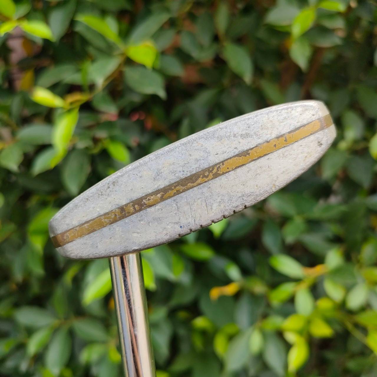 PUTTER MACDOUGALL P-109 ความยาว 34 นิ้ว น้ำหนักดีมาก ชดเชยความผิดพลาดสูง ซาลาเปา