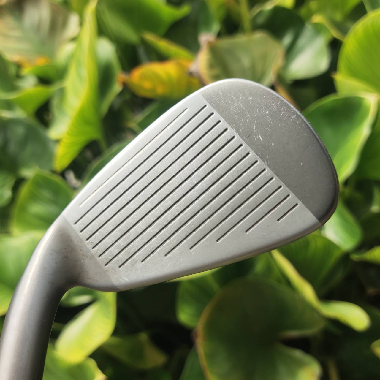 เหล็ก 7 Taylormade SPEEDBLADE ความเร็วบอลสูง และ การเล่นง่าย สำหรับทุกระดับ