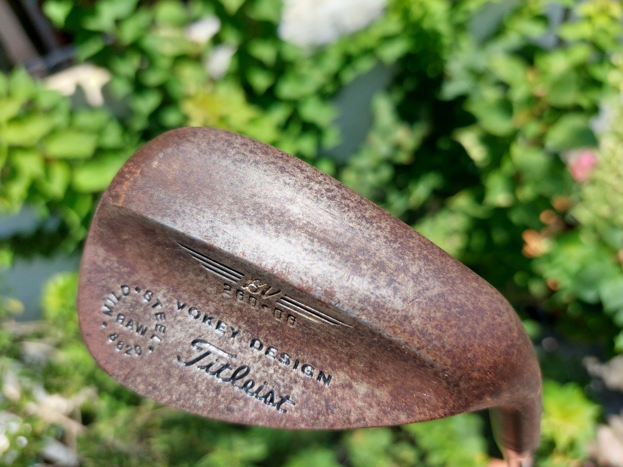 WEDGE Titleist VOKEY