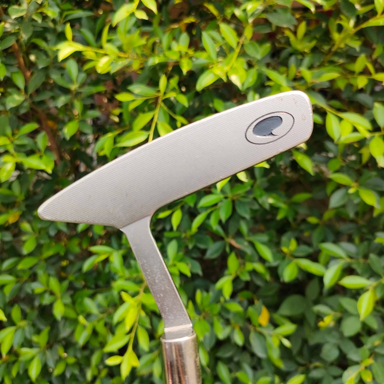 PUTTER Teardrop TD17 Roll Face ความยาว 34 นิ้ว งานดีสุดๆ ครับ Signature ตัวนี้ต้องตำด่วน!!!