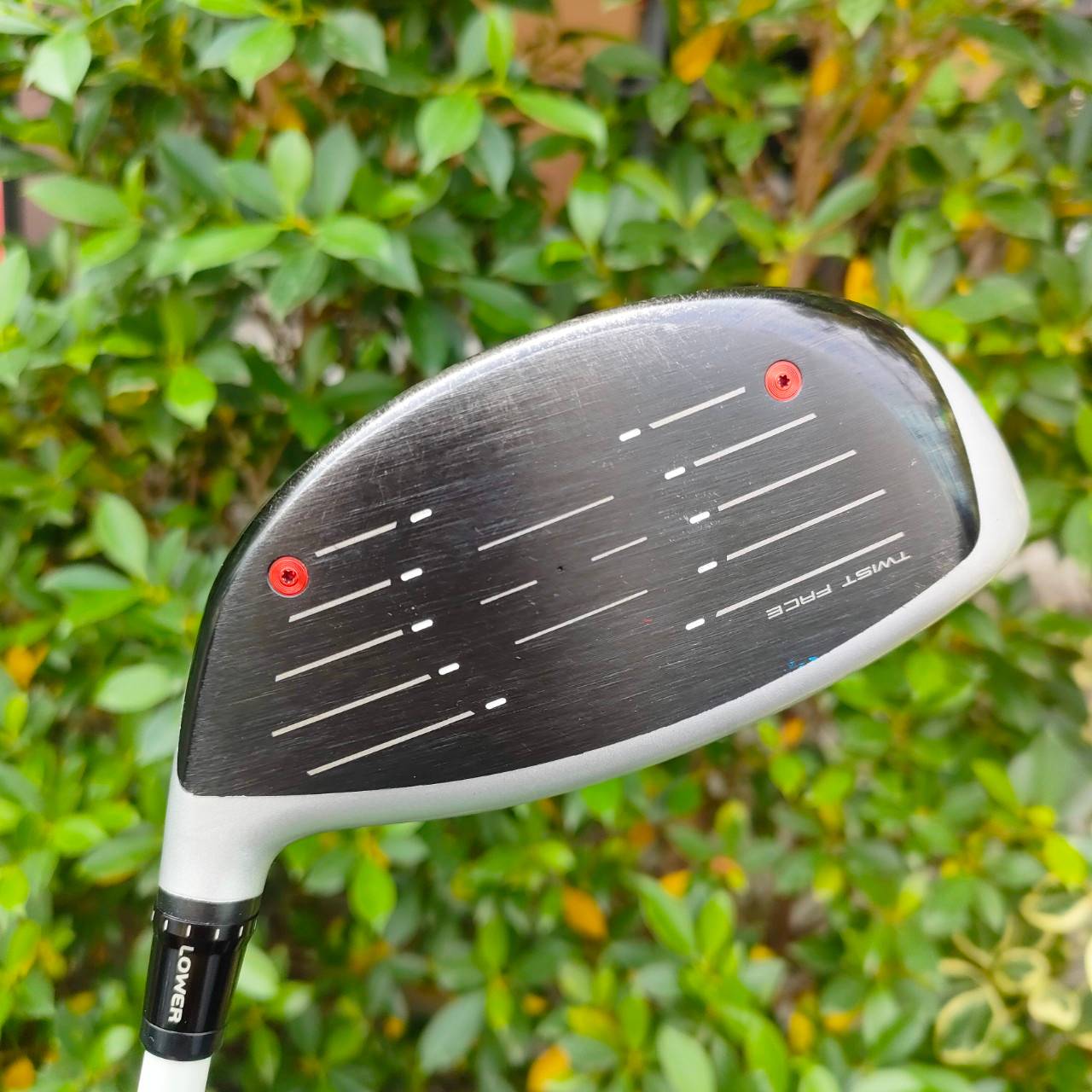 **ไม้กอล์ฟสำหรับผู้หญิง** DRIVER TAYLORMADE M6 D-TYPE LADY องศา 12 ก้าน FUJIKURA TM4 FLEX L Driver คุณผู้หญฺงที่ทรงคุณค่ามาก
