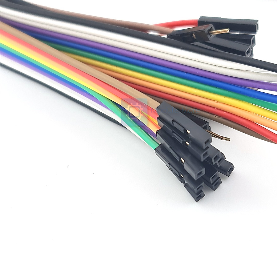 สายจั้มเปอร์ 10 เส้น 2.54mm ยาว 20/30cm ทองแดงแน่น [ผู้-ผุ้/ผู้-เมีย/เมีย-เมีย] 10P Jumper