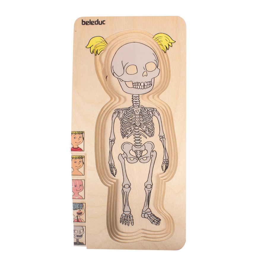 ชุดเกมปริศนา-ร่างกายเด็กหญิง , ของเล่นไม้, ของเล่นเสริมพัฒนาการ, ของเล่นเด็ก, สื่อการสอนเด็ก