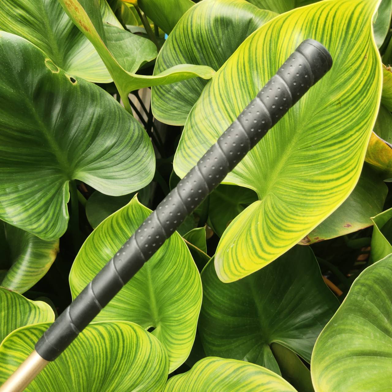 U.S. Kids Golf – Championship Series เหมาะสำหรับน้องๆ ความสูงประมาณ 145–155 cm