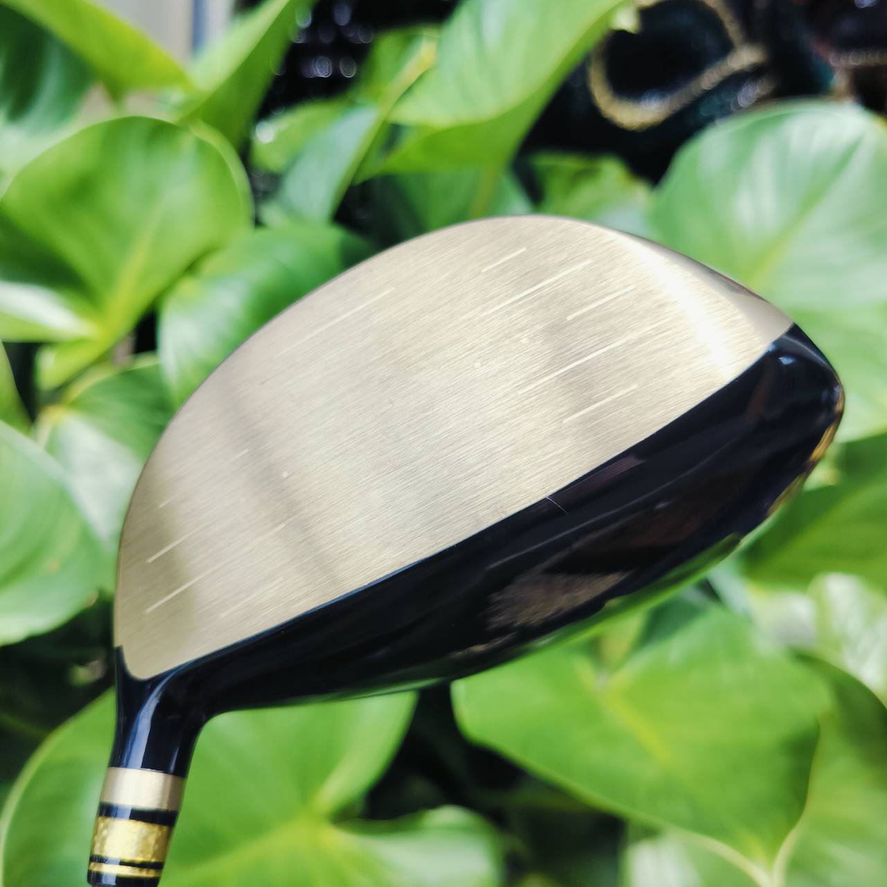 Driver GIGA Golden Slam Hi7 FORCE หน้าคัพไทเทเนียมแรงผลักสูงสุด!!! หน้าเด้งแบบจัดๆ ตีไกลแบบขีดสุด สภาพสวยมาก มาพร้อม COVER แท้เดิม ไม้กอล์ฟพรีเมี่ยมญี่ปุ่นมือสอง ของแท้ By NakaraLuxurious