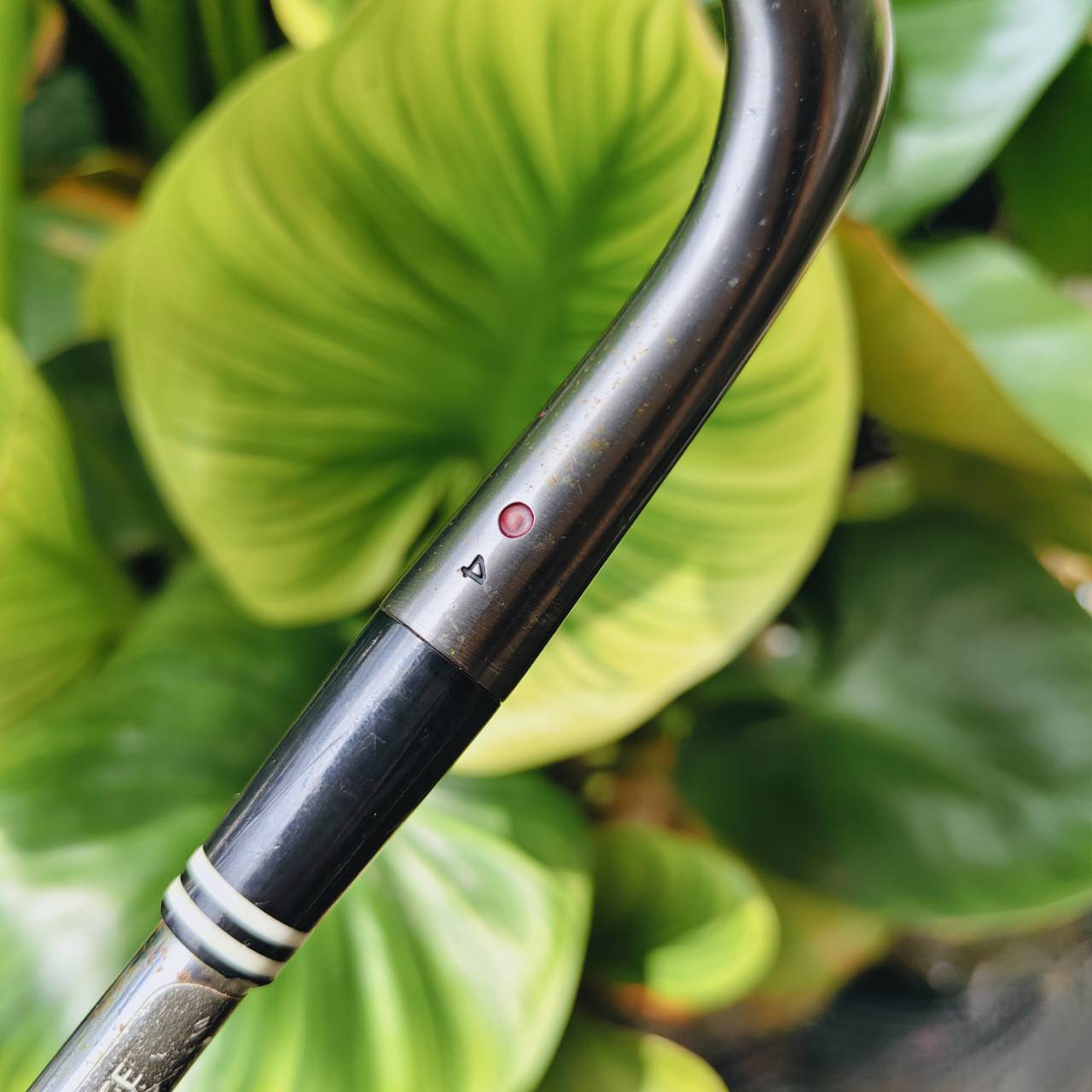 WEDGE CG12 ZIP GROOVE 60° BOUNCE 4 – ช็อตรอบกรีนสุดแม่นยำ ระเบิดทรายได้เหนือชั้น!