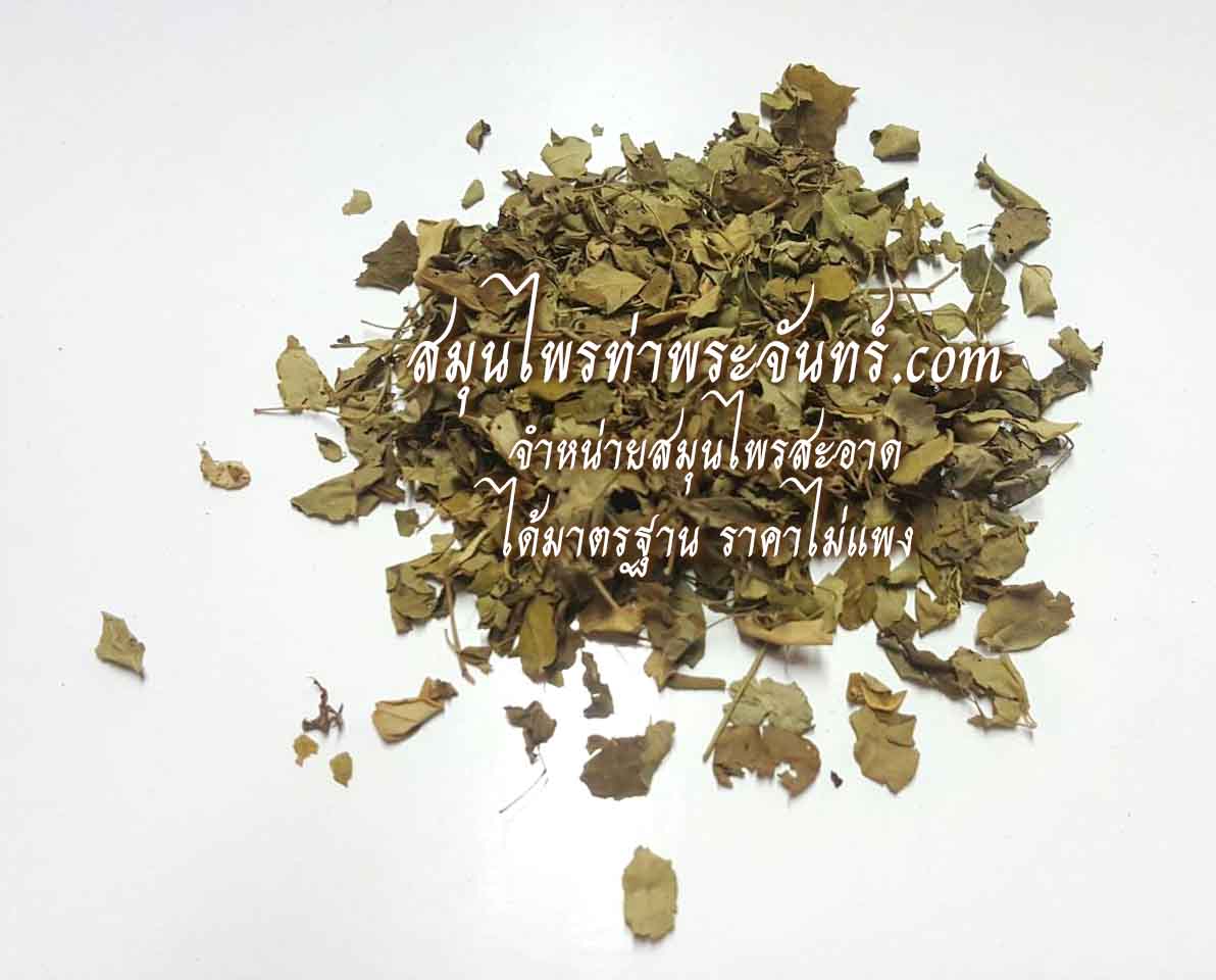Dried Moringa