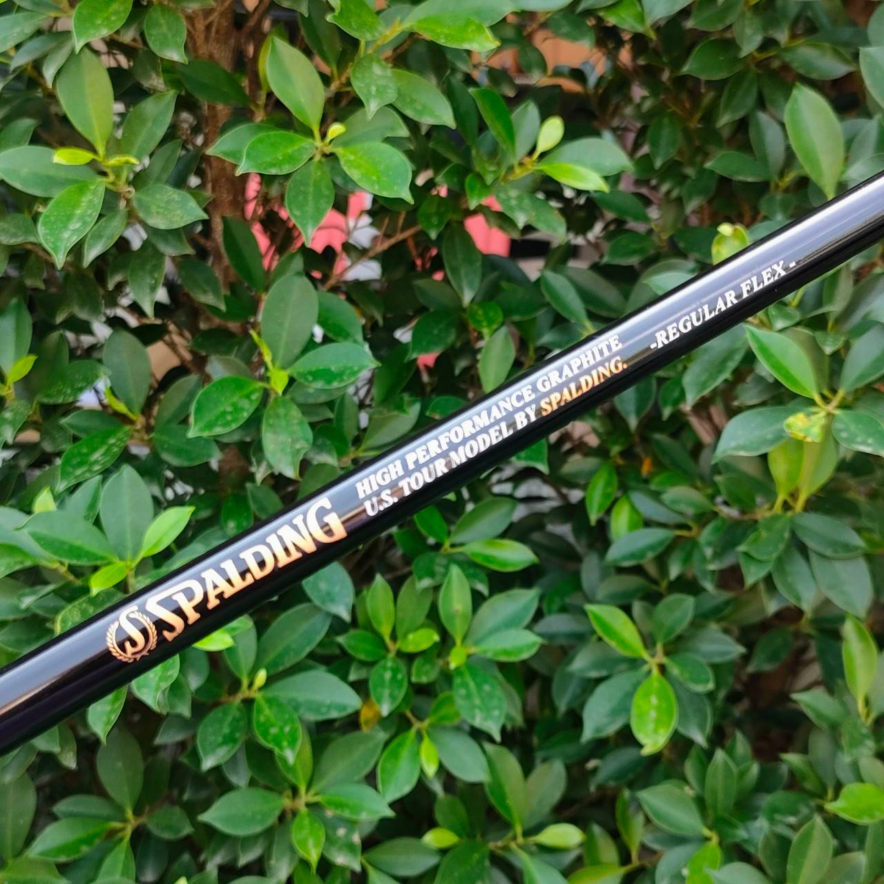 ชุดเหล็ก SPALDING DOT PLUS TOUR MODEL มีเหล็ก 3-9 เเละ PW SW ก้าน SPALDNG FLEX R ตีง่ายมาก คุณภาพเยี่ยม