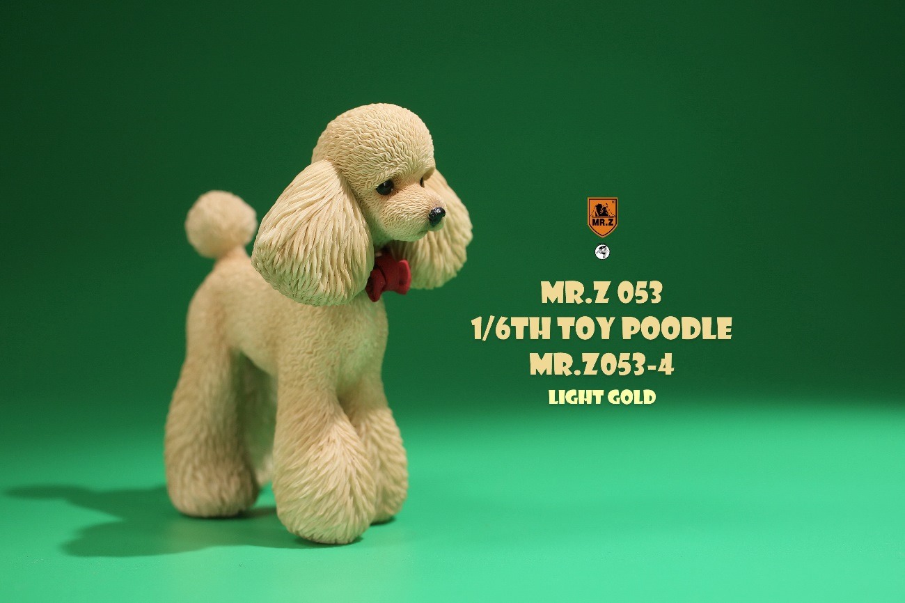 [สั่งจอง]Mr.Z MRZ053 animal model 1/6 : Toy Poodle