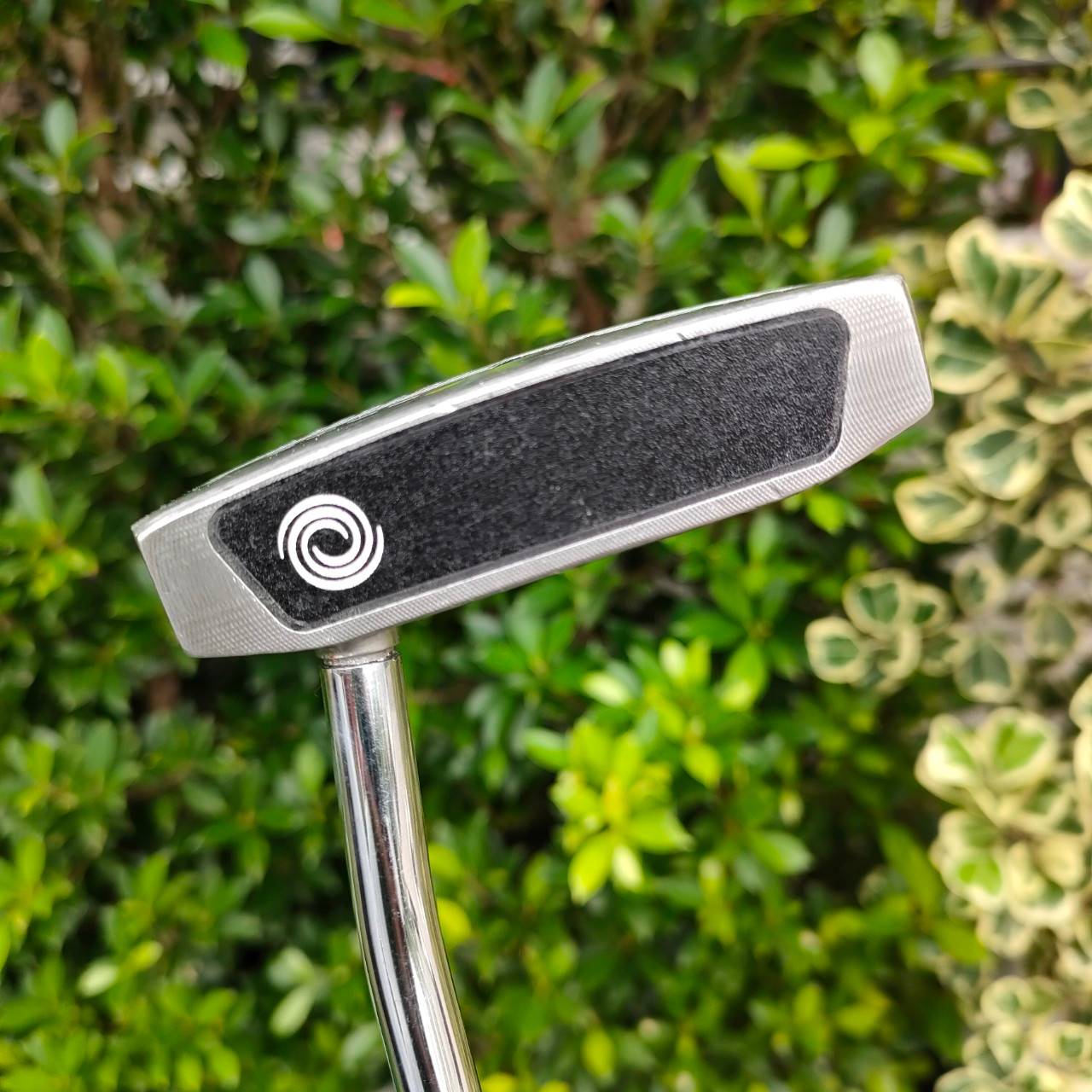 PUTTER ODYSSEY VERSA 7 ความยาว 34 นิ้ว รูปทรงที่ ได้รับความนิยมสูงสุด พัตต์ดีมากๆ