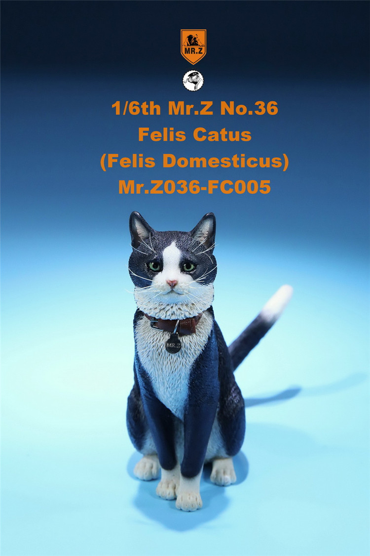[สั่งจอง] Mr. Z Animal Model No.36: 1/6 Figure Felis Catus